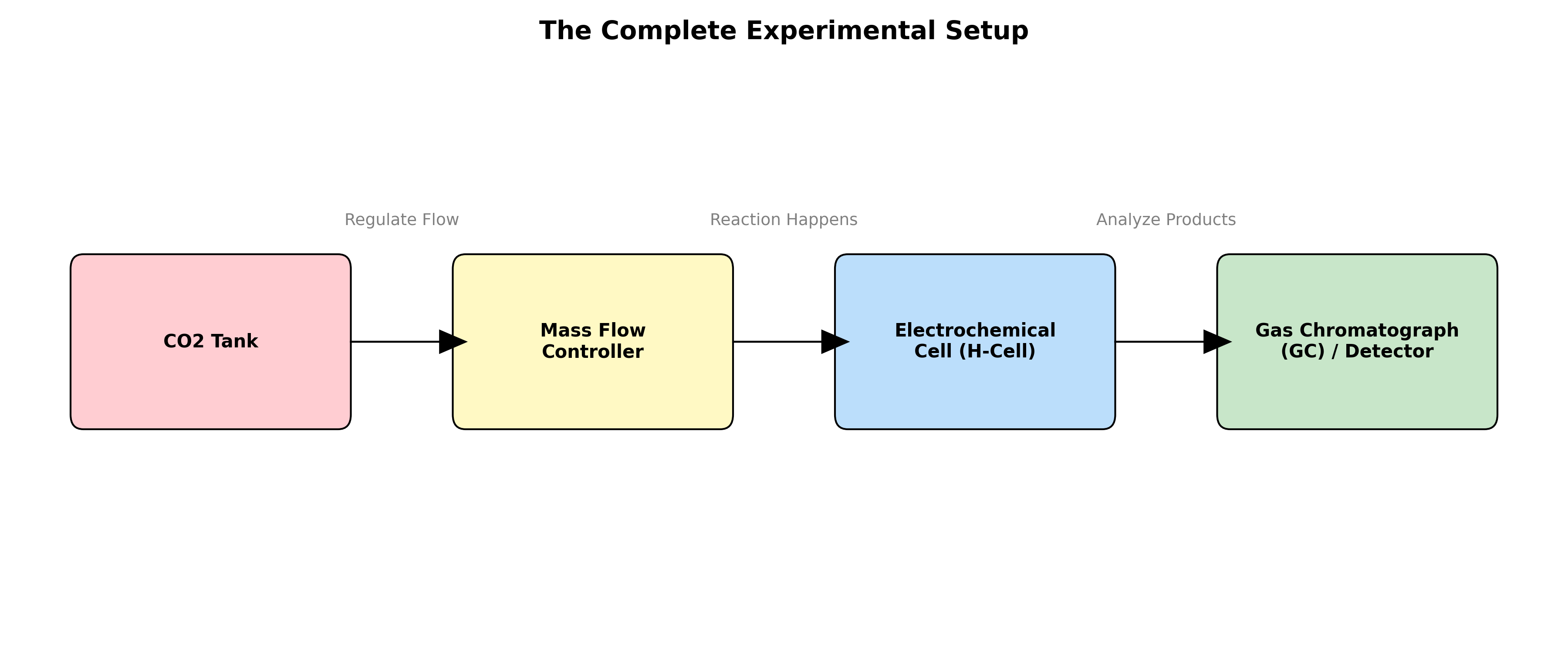 Experimental Flow Chart